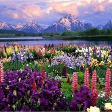 Схема вышивки «Шамбала»