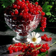 Схема вышивки «вах вах))»