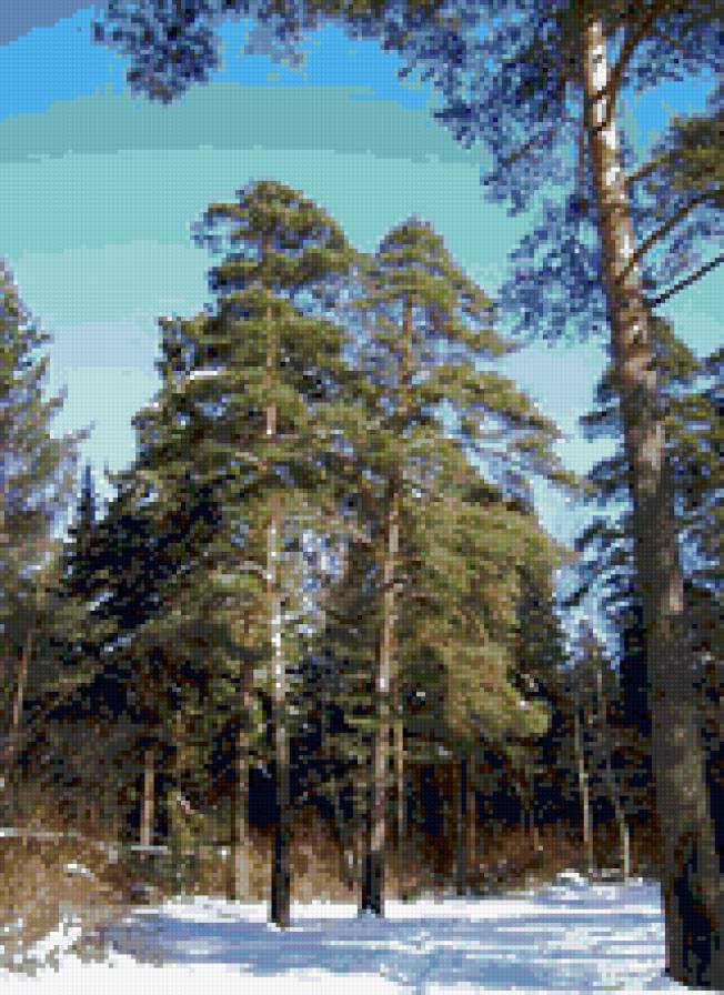 Зимний лес - пейзаж, природа, зима, лес - предпросмотр