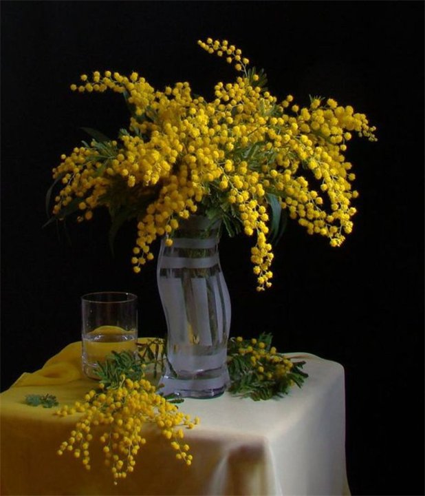 Мимоза в вазе - букет, ваза, мимоза - оригинал