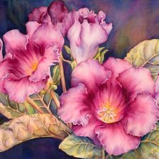 Схема вышивки «№904704»