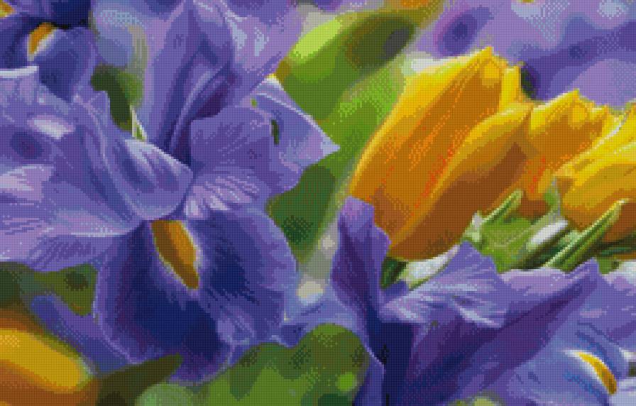 ИРИСЫ И ТЮЛЬПАНЫ - орр - предпросмотр