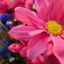 Схема вышивки «цветок»