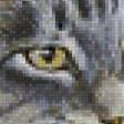 Предпросмотр схемы вышивки «котик с ромашками» (№904861)