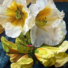 Схема вышивки «белые цветы»