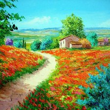 цветущие поля