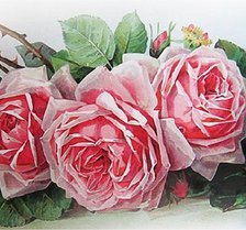 Схема вышивки ««РОЗЫ ЛОНГРЕ»»