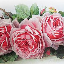 Схема вышивки «Розы Лонгре. Часть 2»