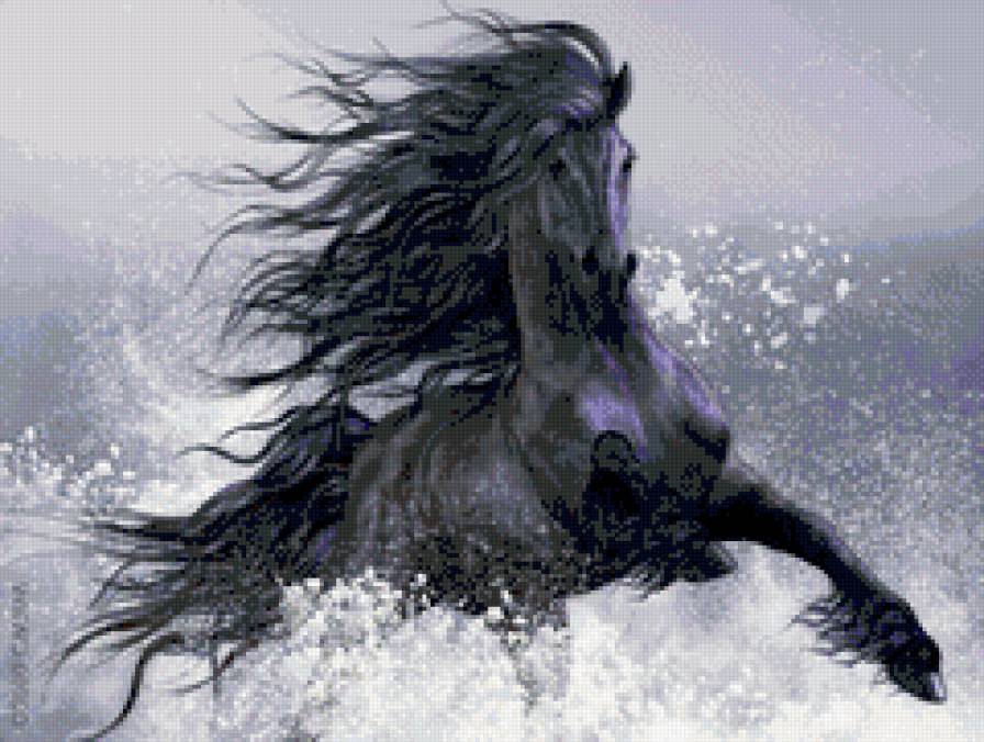 Вороной в брызгах - конь, вода - предпросмотр