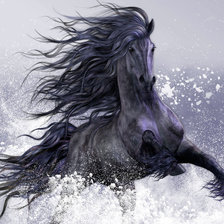 Схема вышивки «Вороной в брызгах»