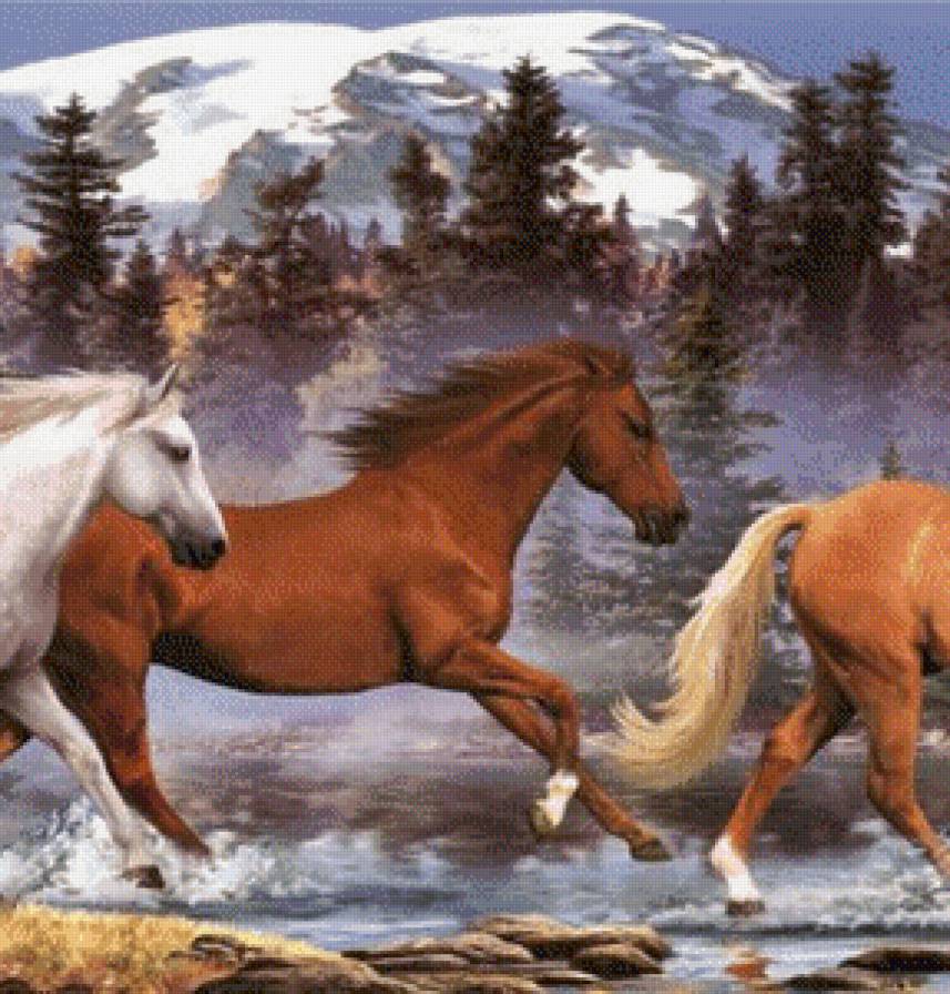 Табун (часть 2) - табун, лошади, природа - предпросмотр