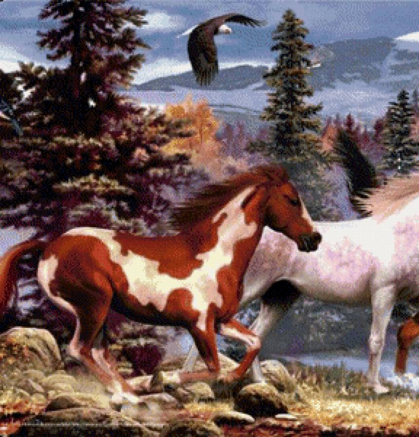 Табун (часть 1) - лошади, природа, табун - предпросмотр