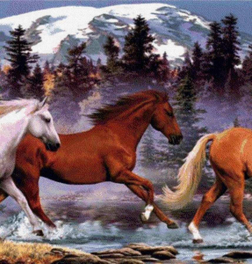 Табун (часть 2) - лошади, природа, табун - предпросмотр