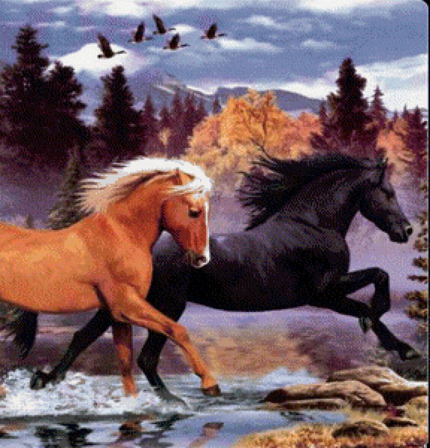 Табун (часть 3) - табун, лошади, природа - предпросмотр