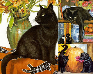 красавец - коты, кот - оригинал