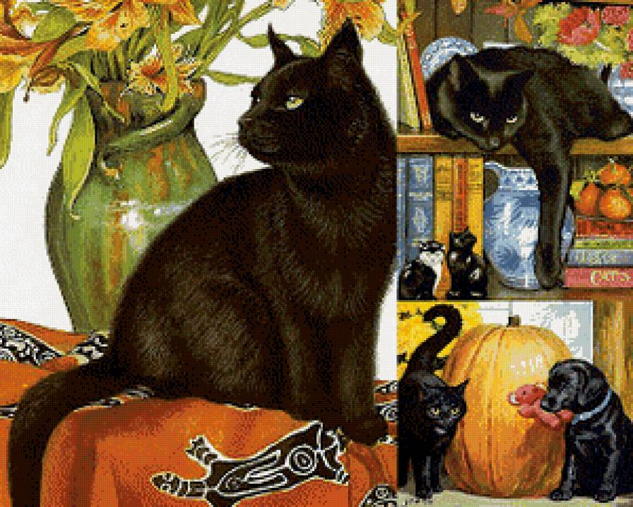 красавец - коты, кот - предпросмотр