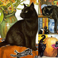 Схема вышивки «красавец»