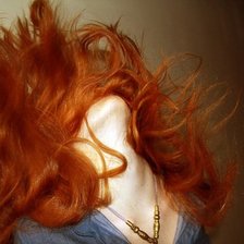 Схема вышивки «рыжее пламя»