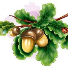 Схема вышивки «дубочки»