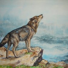 Схема вышивки «0210»