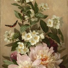 Схема вышивки «Пионы и жасмин»