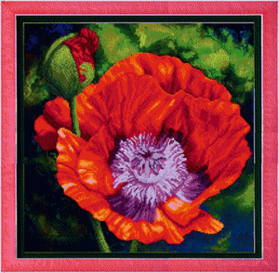 мак - предпросмотр