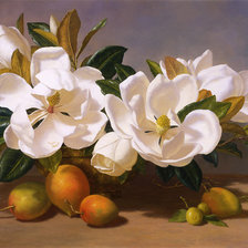 Схема вышивки «Натюрморт с манго»