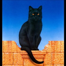 Схема вышивки «наблюдатель»