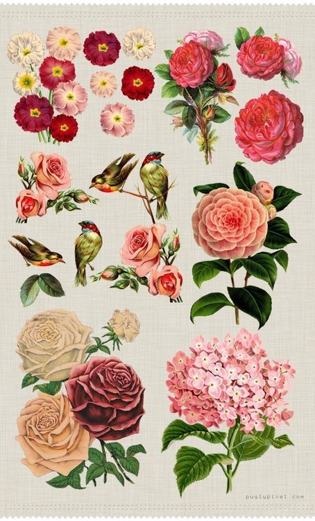 мини вышивка - цветы, птицы - оригинал