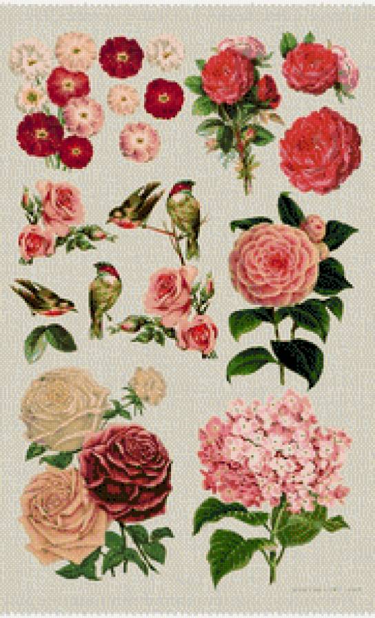 мини вышивка - цветы, птицы - предпросмотр