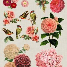 Схема вышивки «мини вышивка»