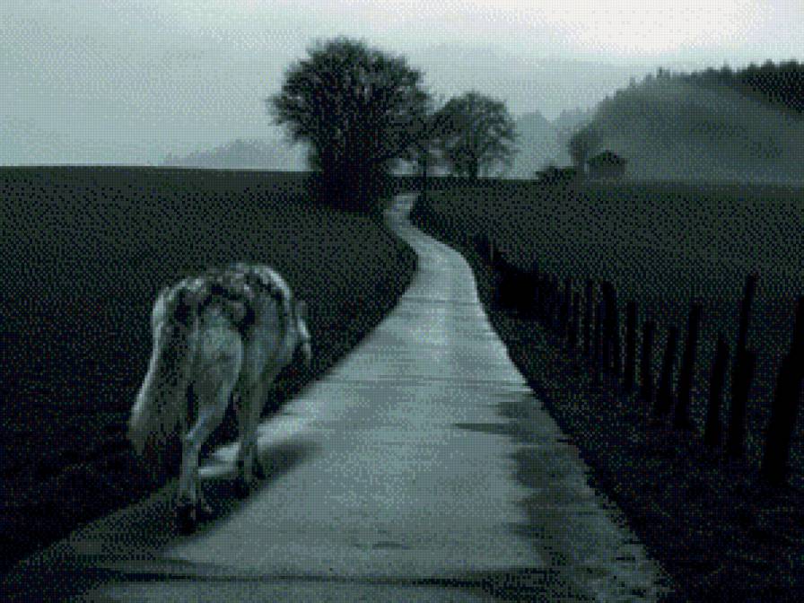 волчонок - предпросмотр