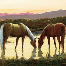 Схема вышивки «лошадиная пара»