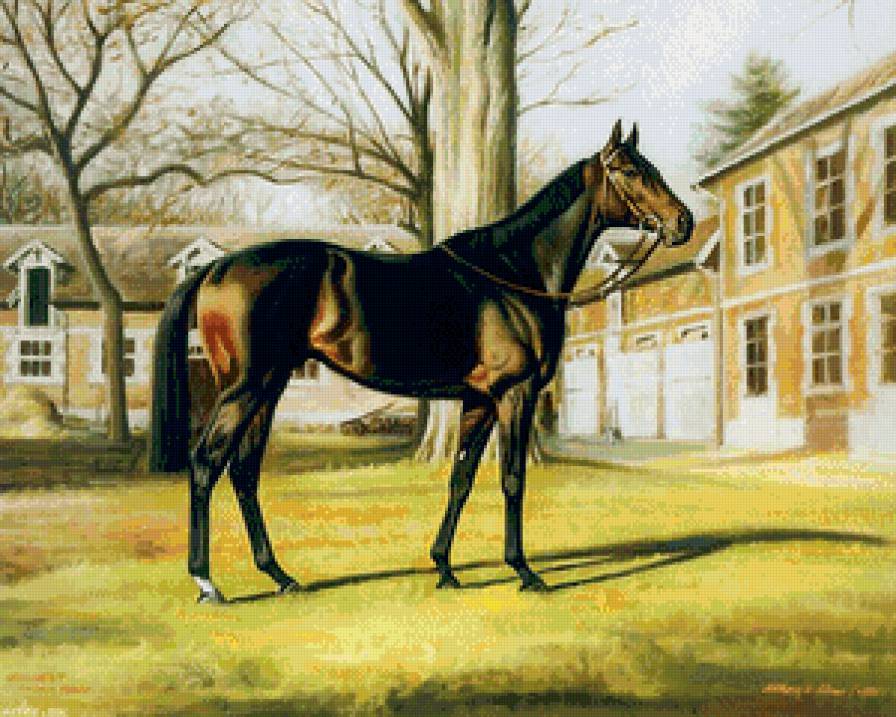красавец конь - живопись, лошадь, рисунок, красавец, животное, конь, конюшня - предпросмотр