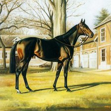 Схема вышивки «красавец конь»