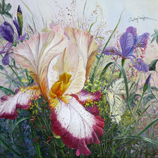 Схема вышивки «ирисы»