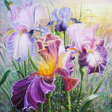 Схема вышивки «ирисы»