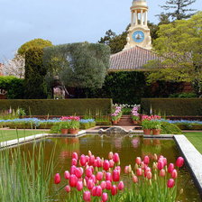 Схема вышивки «№906666»