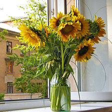 Схема вышивки «№906688»