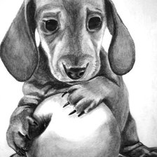 Схема вышивки «такса с мячиком»