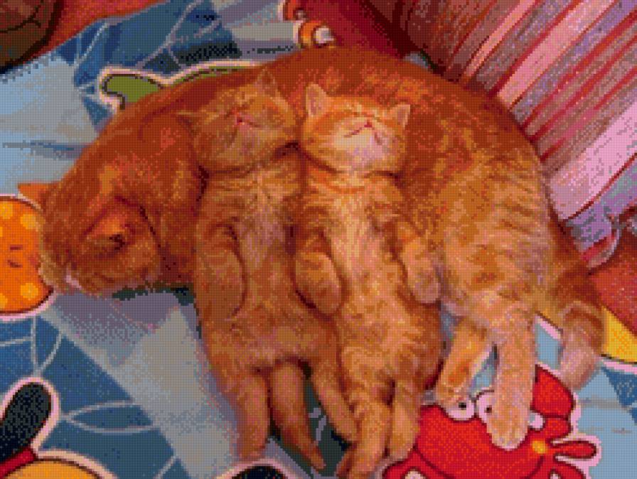 Рыжики - коты, животные - предпросмотр