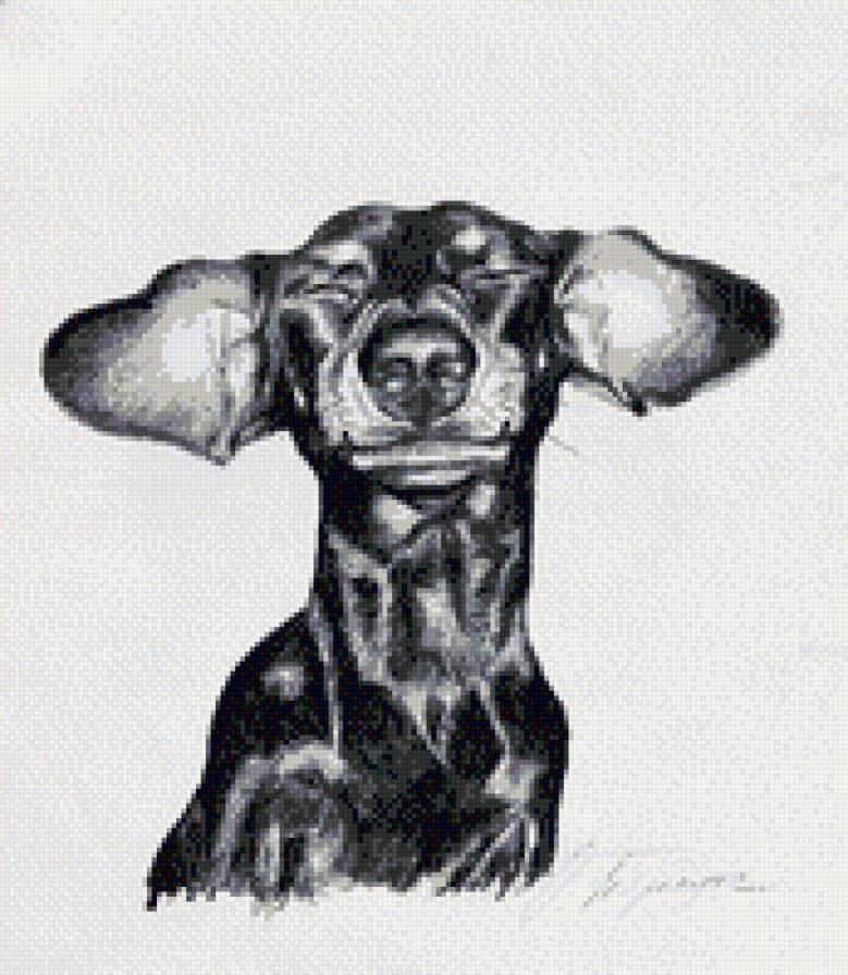 веселая такса - предпросмотр