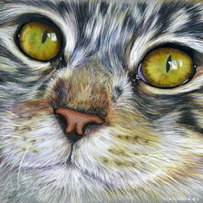 Схема вышивки «котик»