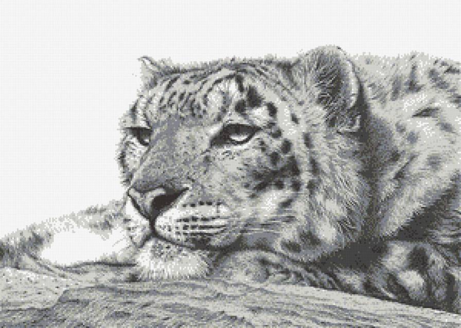 лео - предпросмотр