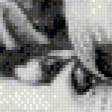 Предпросмотр схемы вышивки «хаски» (№906807)
