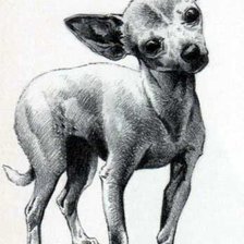 Схема вышивки «собака5»