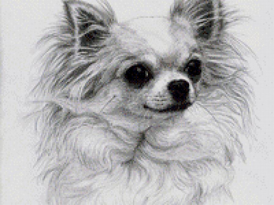 собака4 - предпросмотр