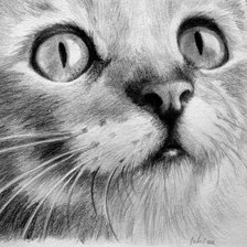 Схема вышивки «котик1»