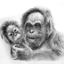 Схема вышивки «орангутанг»