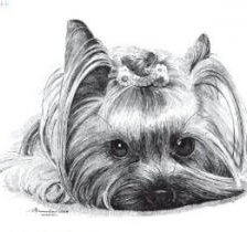 Схема вышивки «собака5»